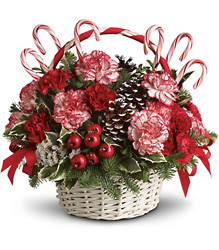 Candy Cane Christmas In Louisville, KY, In Kentucky, Schmitt's Florist